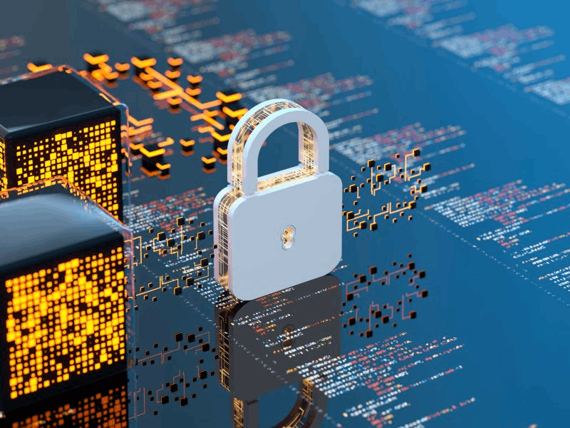 Physical Security Services